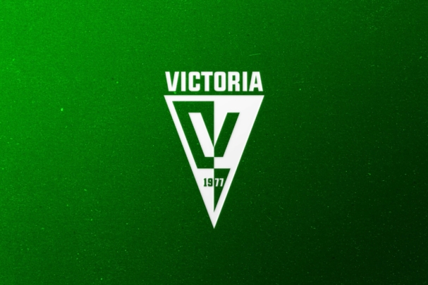 logo_victoria_łukowa_epicprint_epicmedia_maksymilian_paluch_biłgoraj_łukowa_reklaama